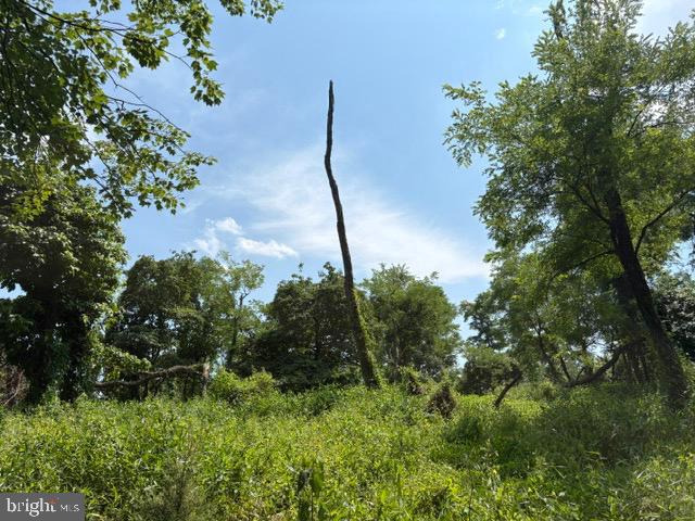 Lot 24a 3.22 Ac Fox Run Property Photo 12