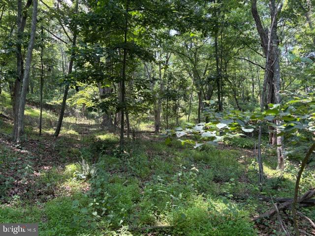 Lot 24a 3.22 Ac Fox Run Property Photo 13