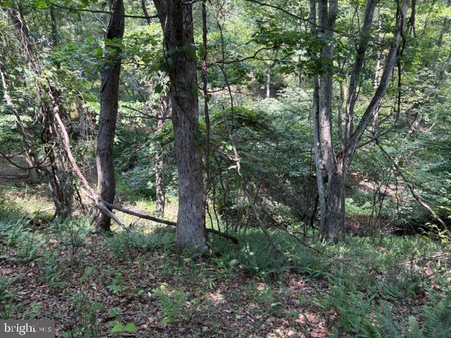 Lot 24a 3.22 Ac Fox Run Property Photo 14