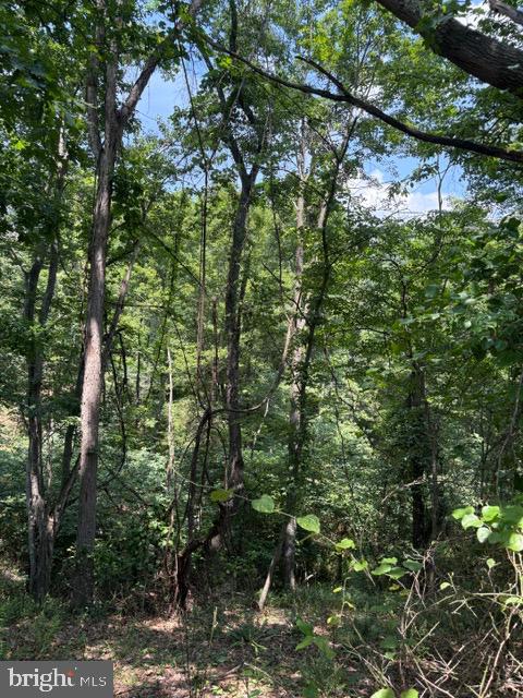 Lot 24a 3.22 Ac Fox Run Property Photo 15