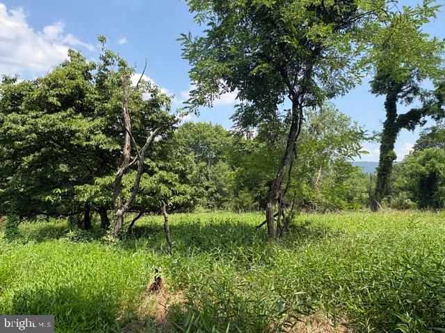 Lot 24a 3.22 Ac Fox Run Property Photo 16