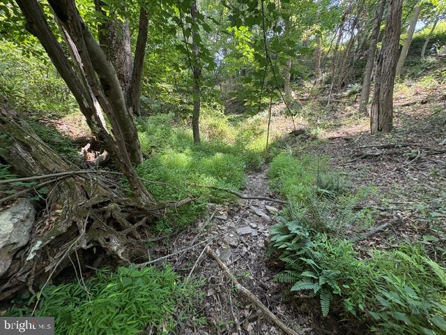 Lot 24a 3.22 Ac Fox Run Property Photo 17