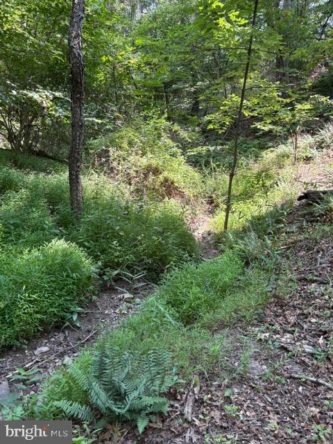 Lot 24a 3.22 Ac Fox Run Property Photo 18