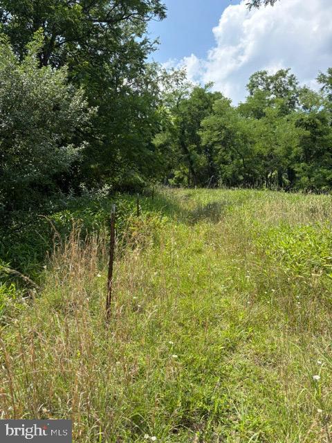 Lot 24a 3.22 Ac Fox Run Property Photo 19