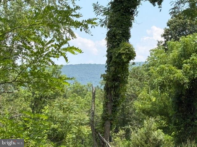 Lot 24a 3.22 Ac Fox Run Property Photo 20