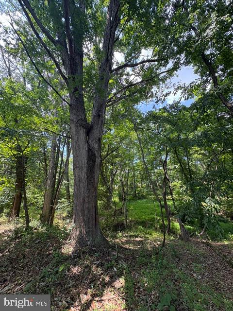 Lot 24a 3.22 Ac Fox Run Property Photo 22
