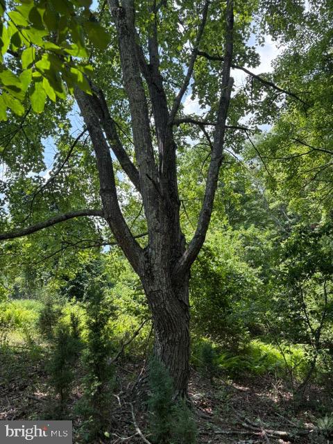 Lot 24a 3.22 Ac Fox Run Property Photo 23