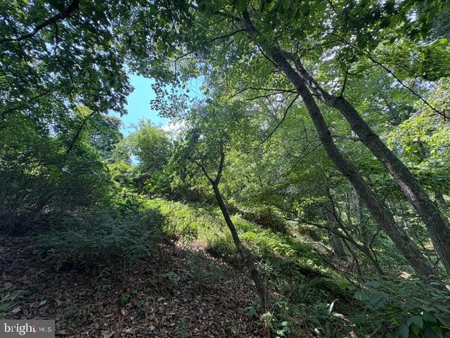 Lot 24a 3.22 Ac Fox Run Property Photo 24