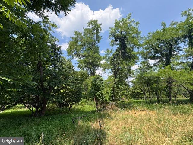 Lot 24a 3.22 Ac Fox Run Property Photo 25