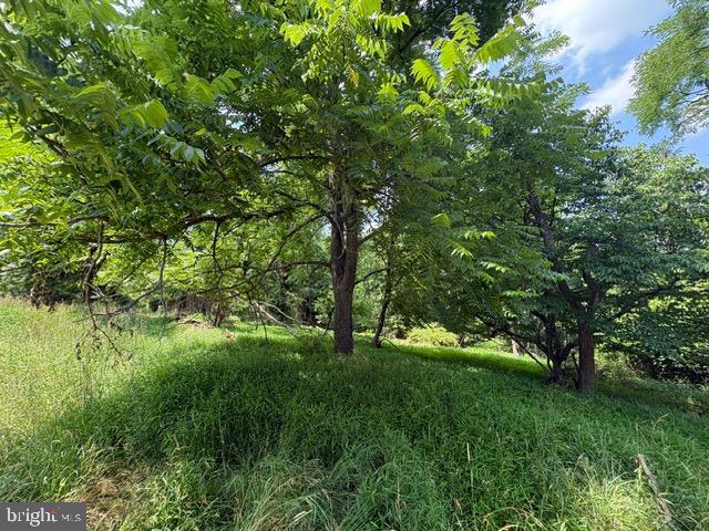 Lot 24a 3.22 Ac Fox Run Property Photo 26