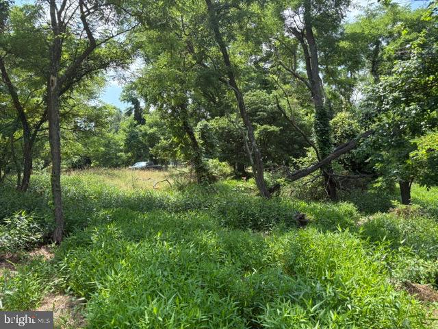 Lot 24a 3.22 Ac Fox Run Property Photo 27