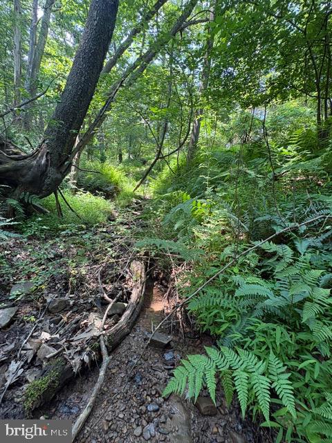 Lot 24a 3.22 Ac Fox Run Property Photo 28
