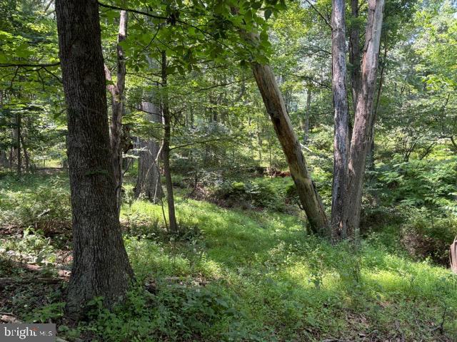Lot 24a 3.22 Ac Fox Run Property Photo 29