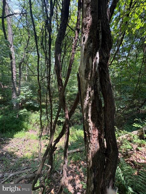 Lot 24a 3.22 Ac Fox Run Property Photo 30