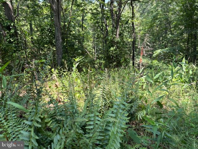 Lot 24a 3.22 Ac Fox Run Property Photo 31