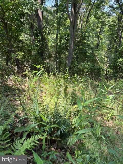 Lot 24a 3.22 Ac Fox Run Property Photo 32