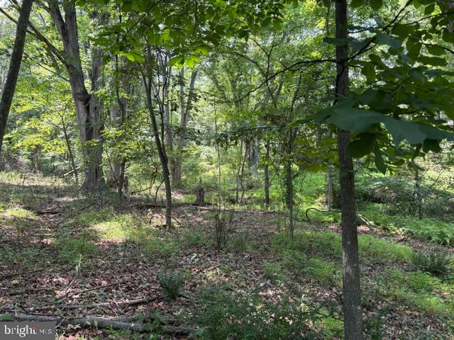 Lot 24a 3.22 Ac Fox Run Property Photo 33
