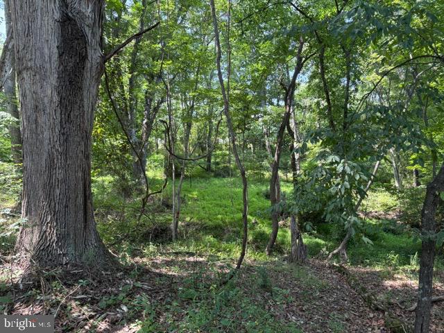 Lot 24a 3.22 Ac Fox Run Property Photo 34