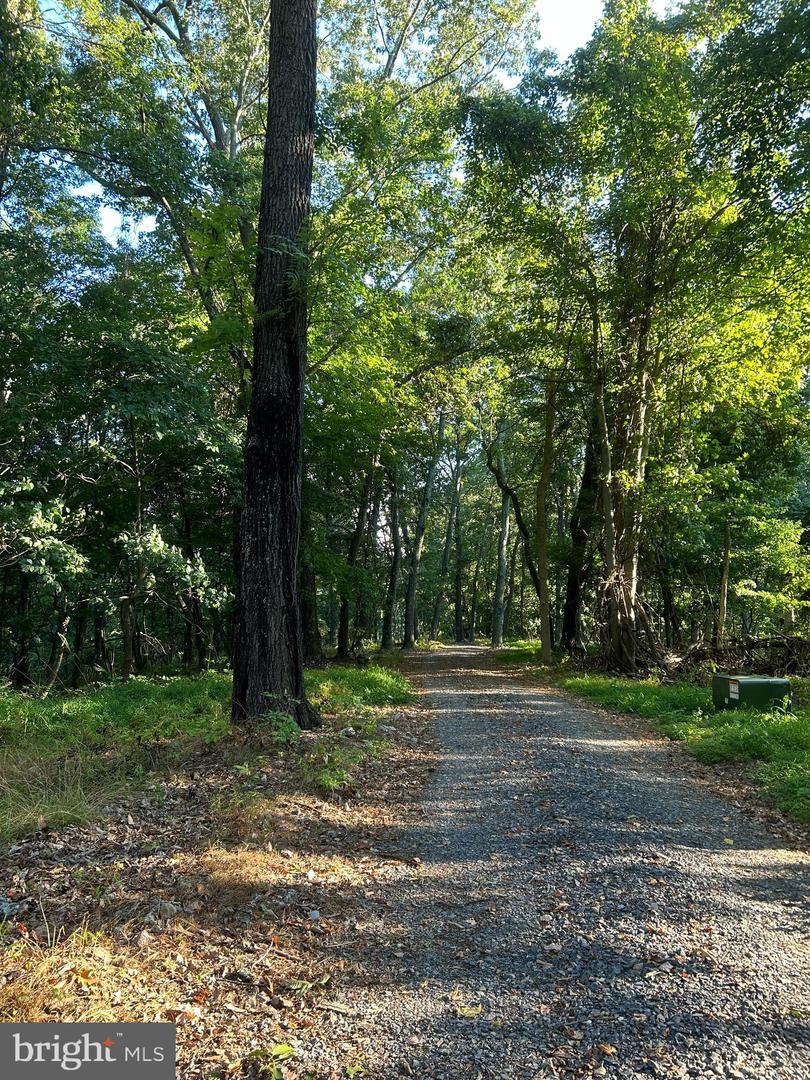 High Knob Property Photo 3