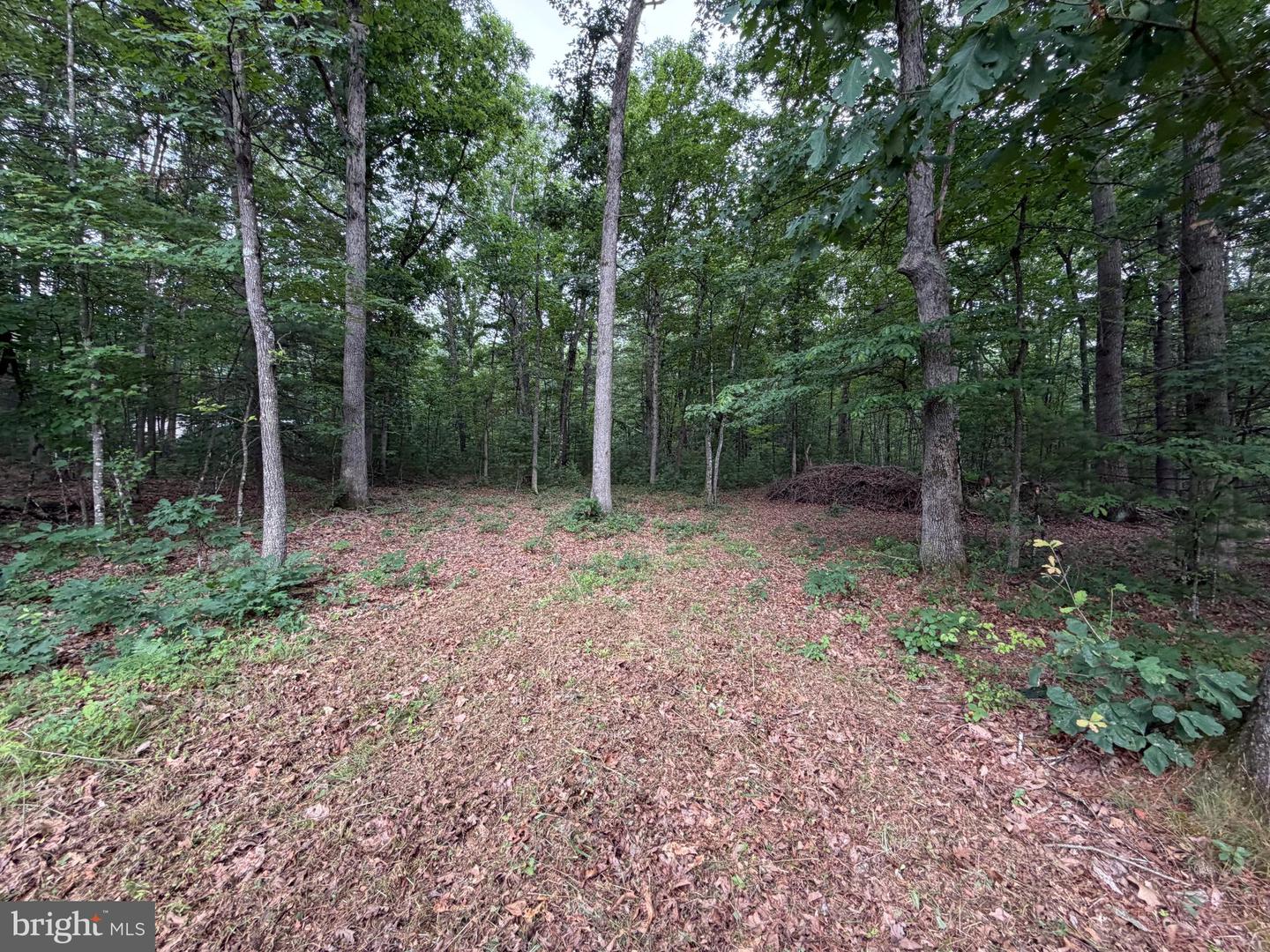 Lot 8 2ac Grizzly Rd Property Photo 1