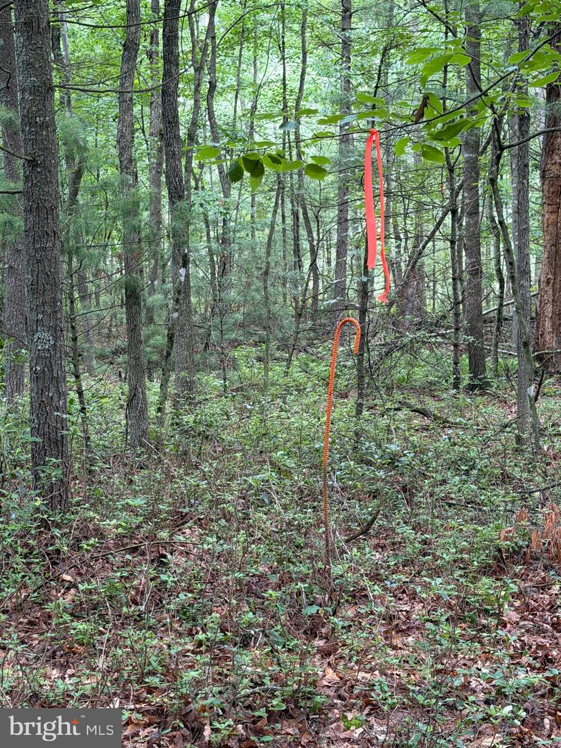 Lot 8 2ac Grizzly Rd Property Photo 2
