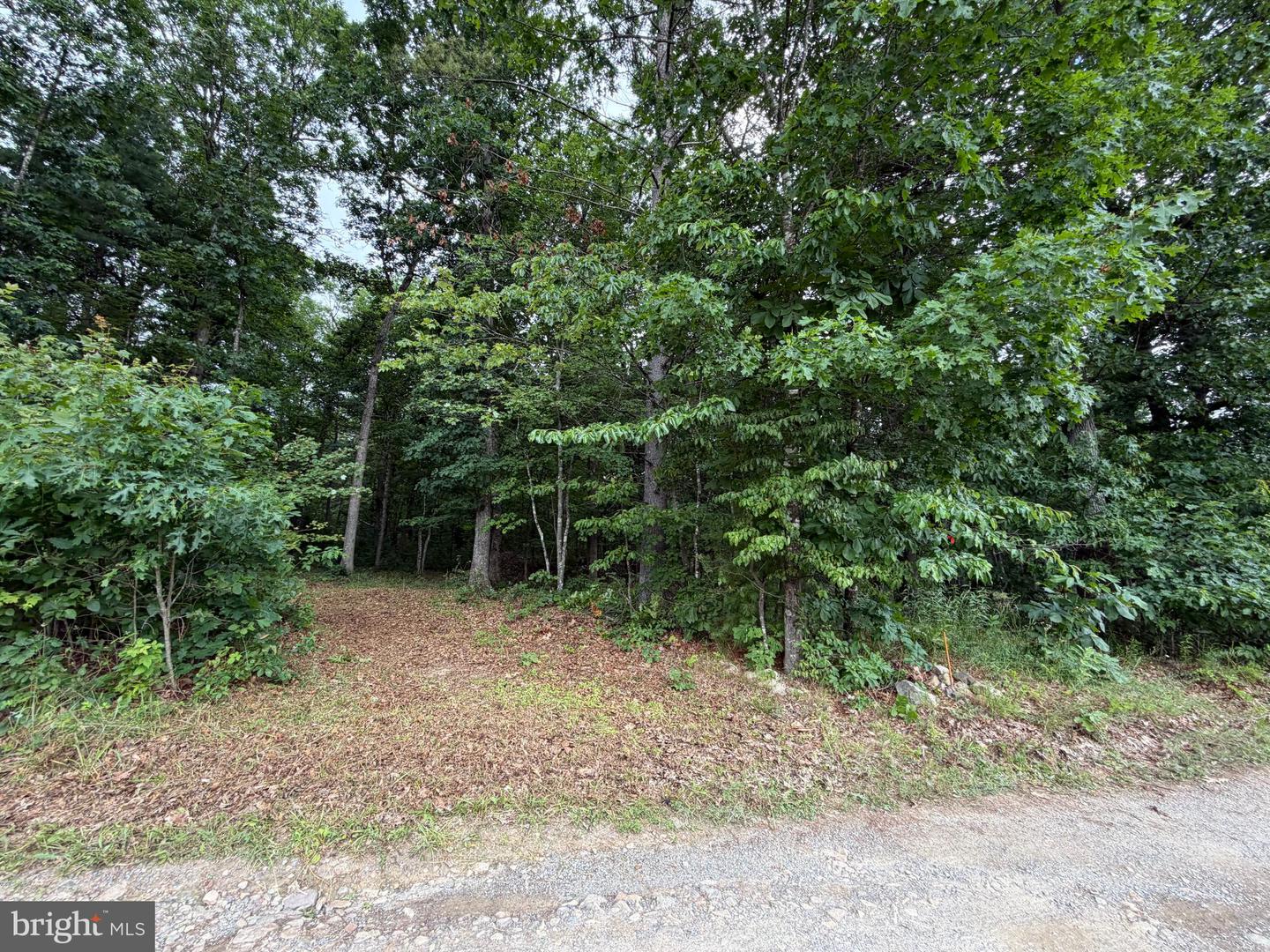 Lot 8 2ac Grizzly Rd Property Photo 3