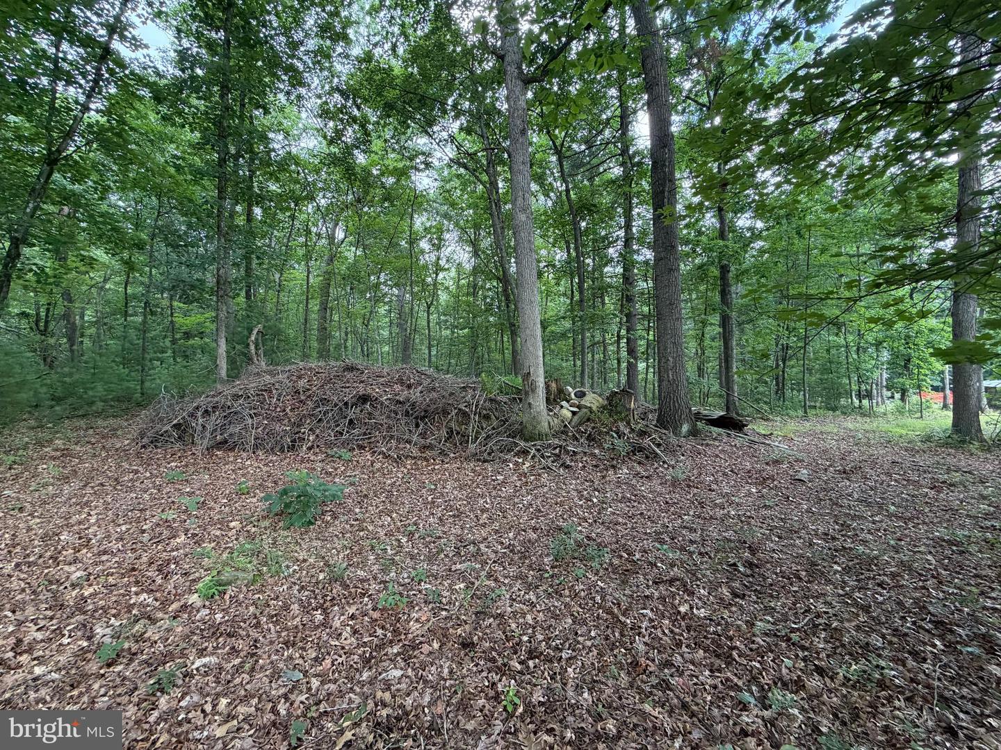 Lot 8 2ac Grizzly Rd Property Photo 4