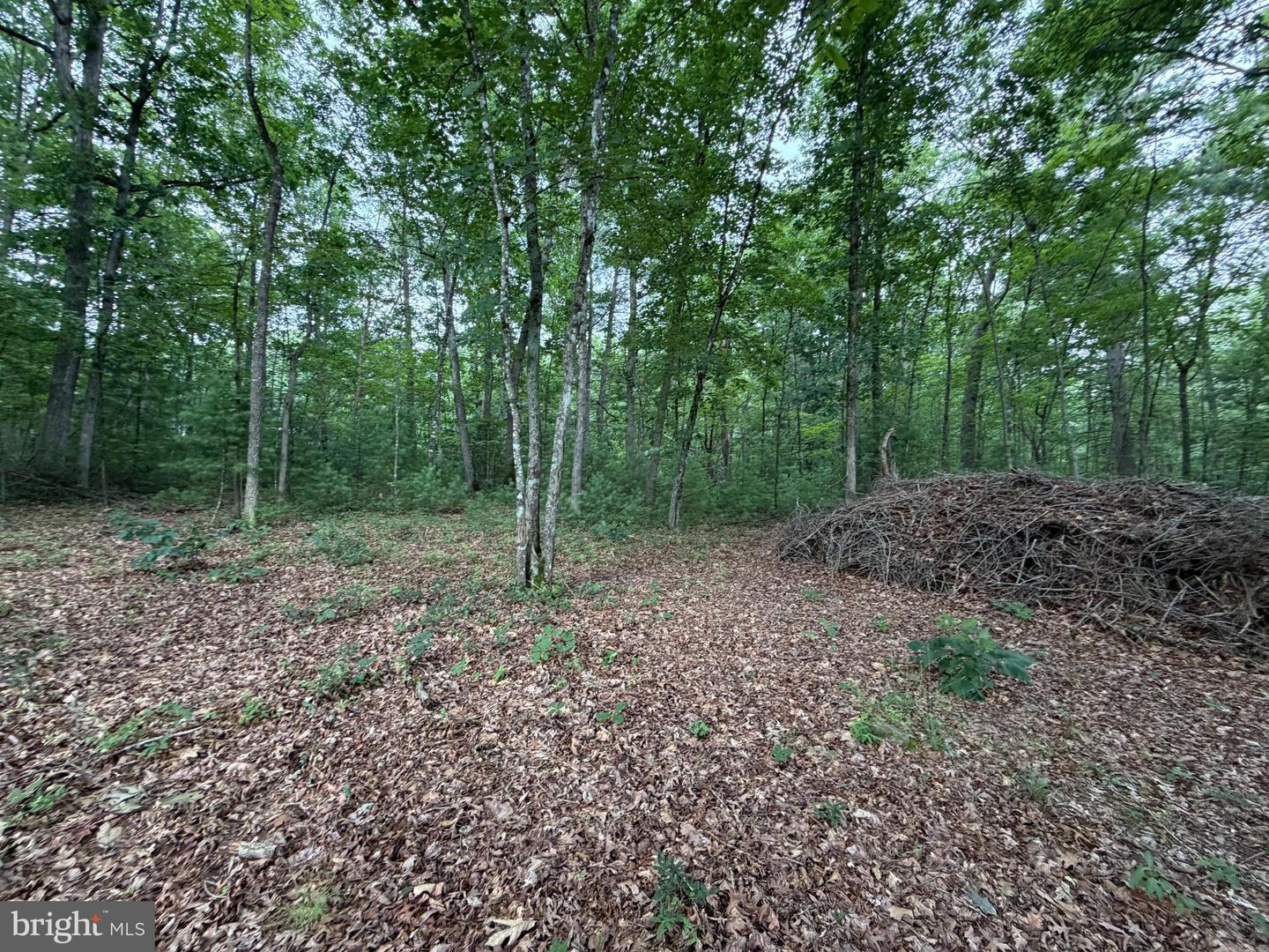 Lot 8 2ac Grizzly Rd Property Photo 5