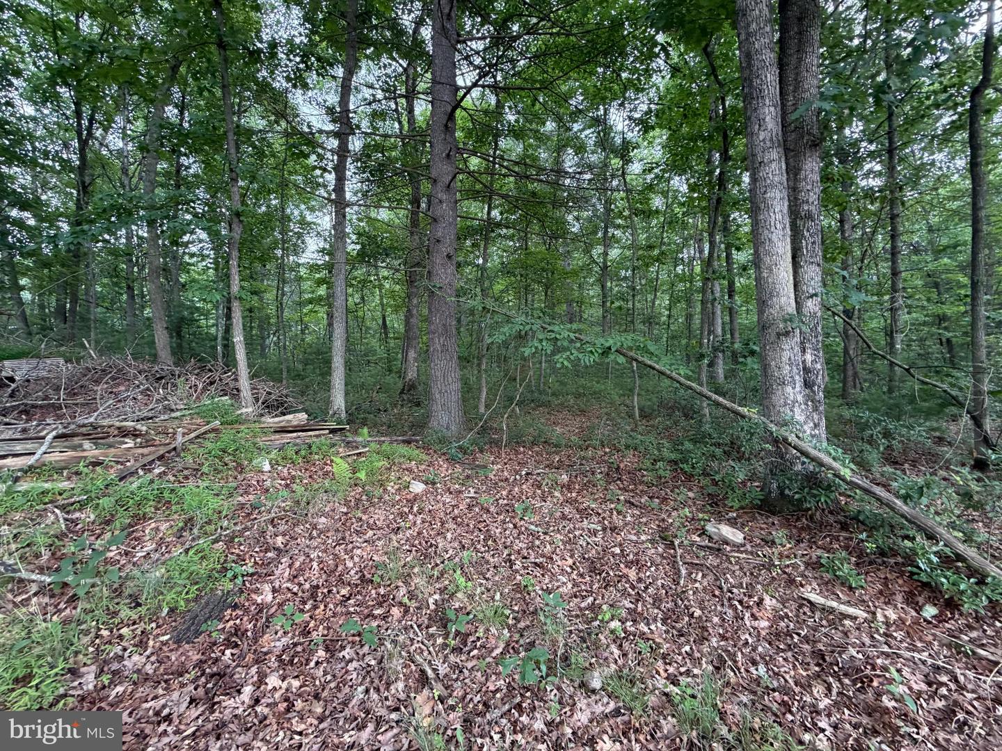 Lot 8 2ac Grizzly Rd Property Photo 6