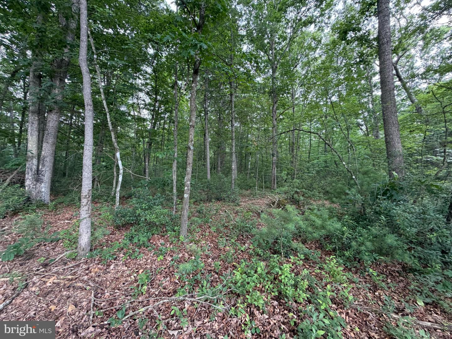 Lot 8 2ac Grizzly Rd Property Photo 7