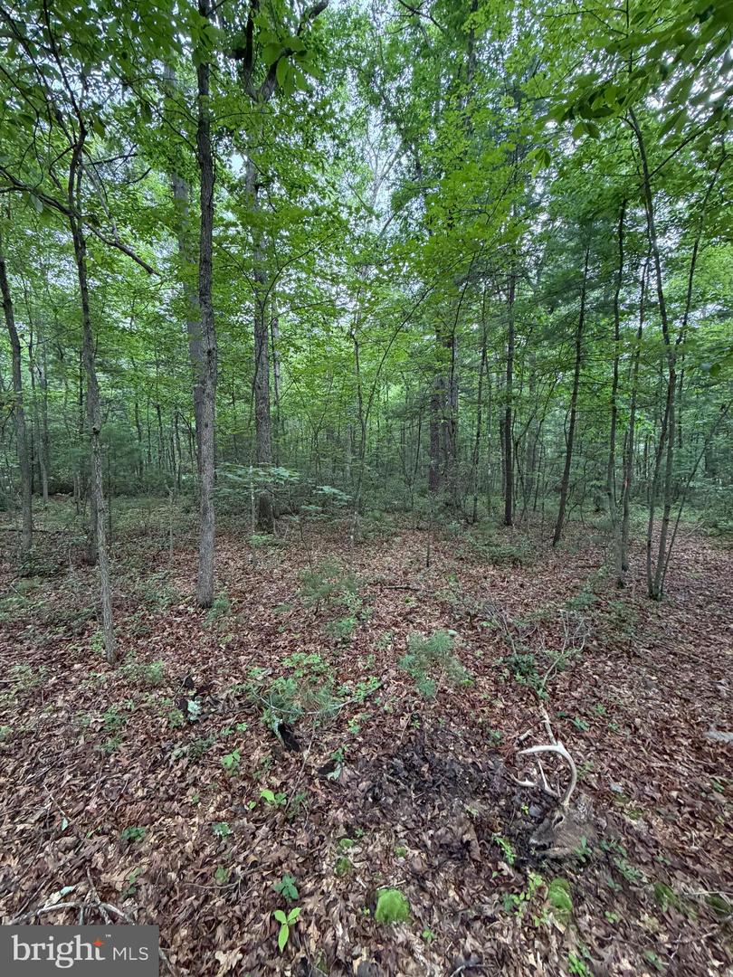 Lot 8 2ac Grizzly Rd Property Photo 8