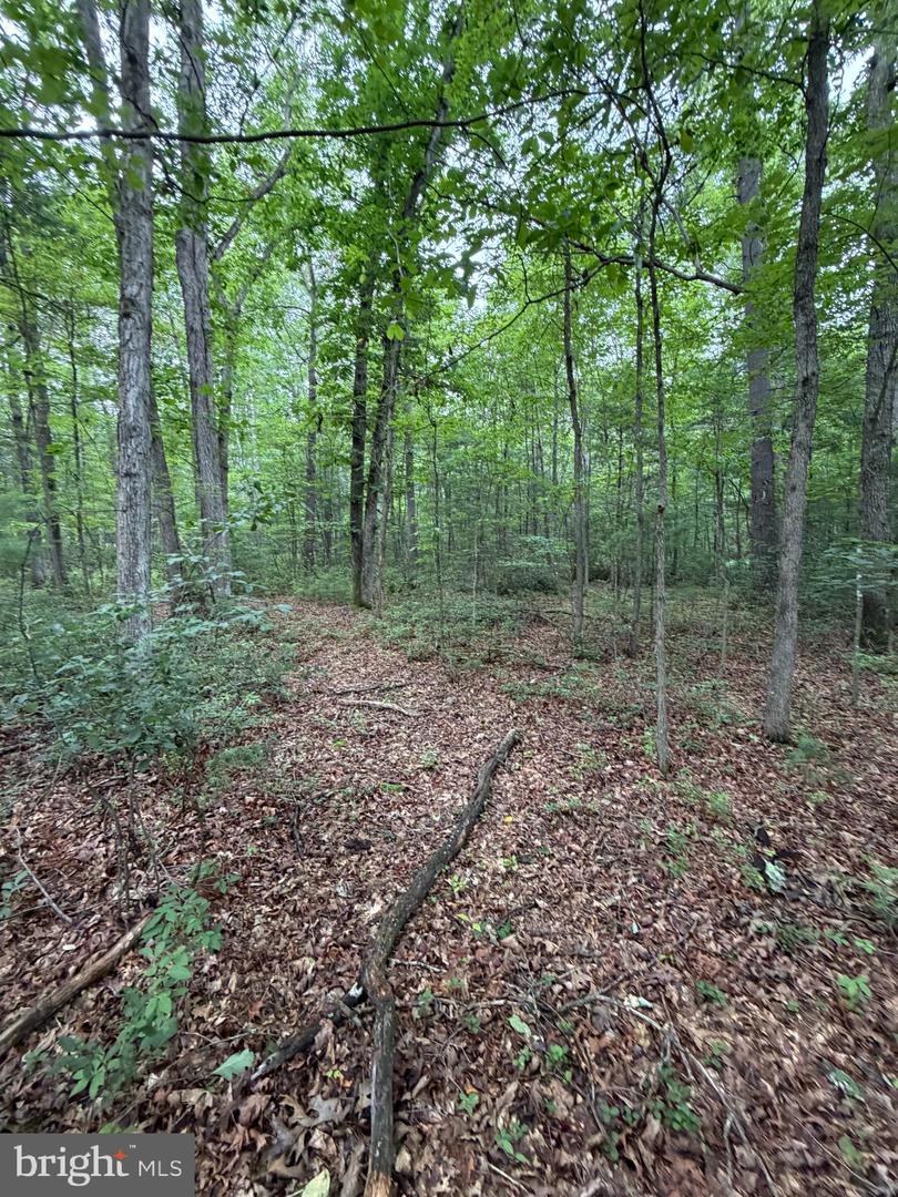 Lot 8 2ac Grizzly Rd Property Photo 9