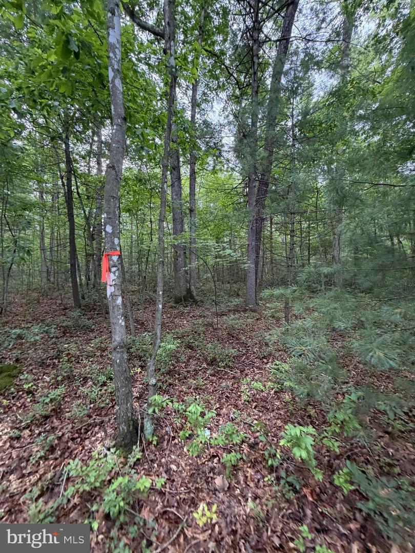 Lot 8 2ac Grizzly Rd Property Photo 10
