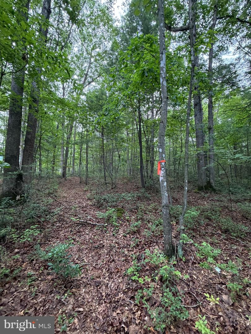 Lot 8 2ac Grizzly Rd Property Photo 11