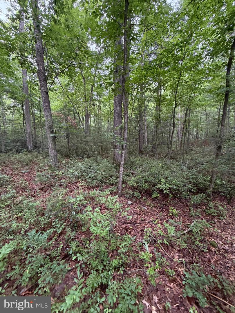 Lot 8 2ac Grizzly Rd Property Photo 12