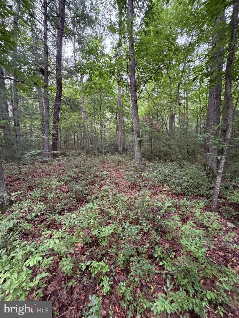 Lot 8 2ac Grizzly Rd Property Photo 13