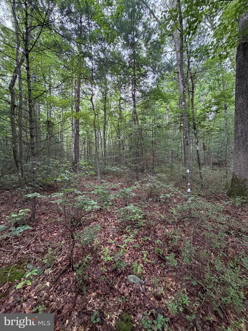 Lot 8 2ac Grizzly Rd Property Photo 14