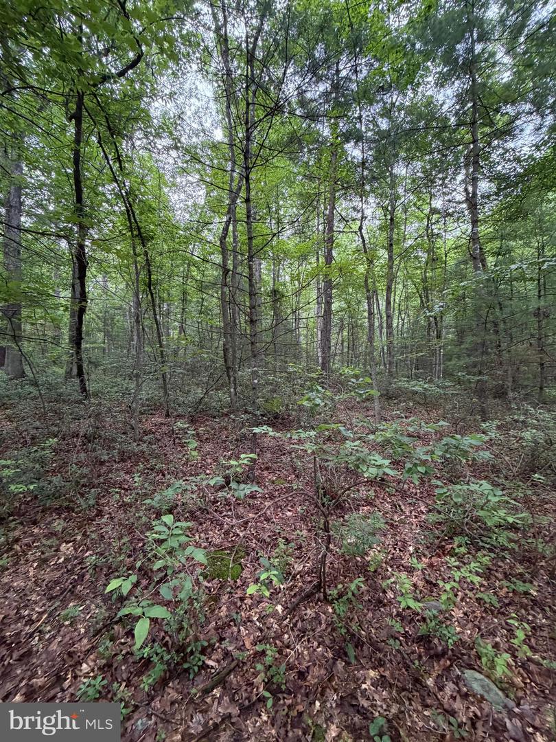 Lot 8 2ac Grizzly Rd Property Photo 15