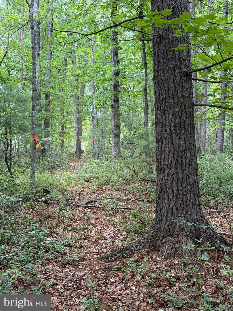 Lot 8 2ac Grizzly Rd Property Photo 16