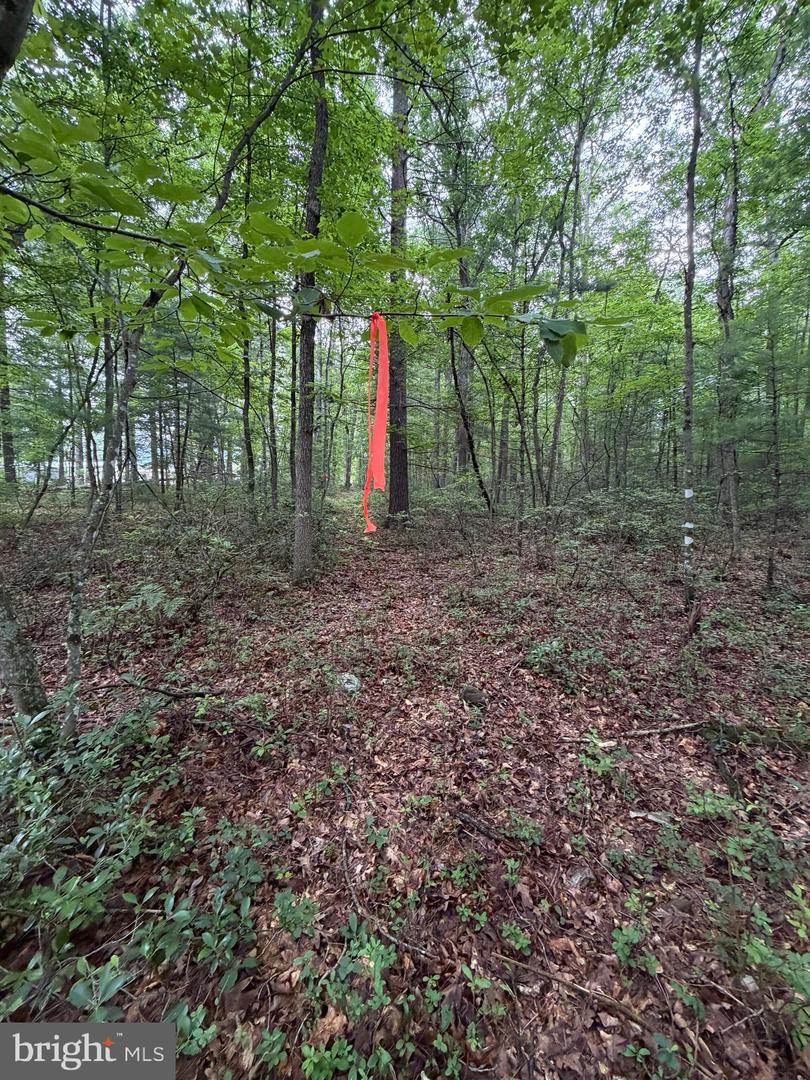 Lot 8 2ac Grizzly Rd Property Photo 17