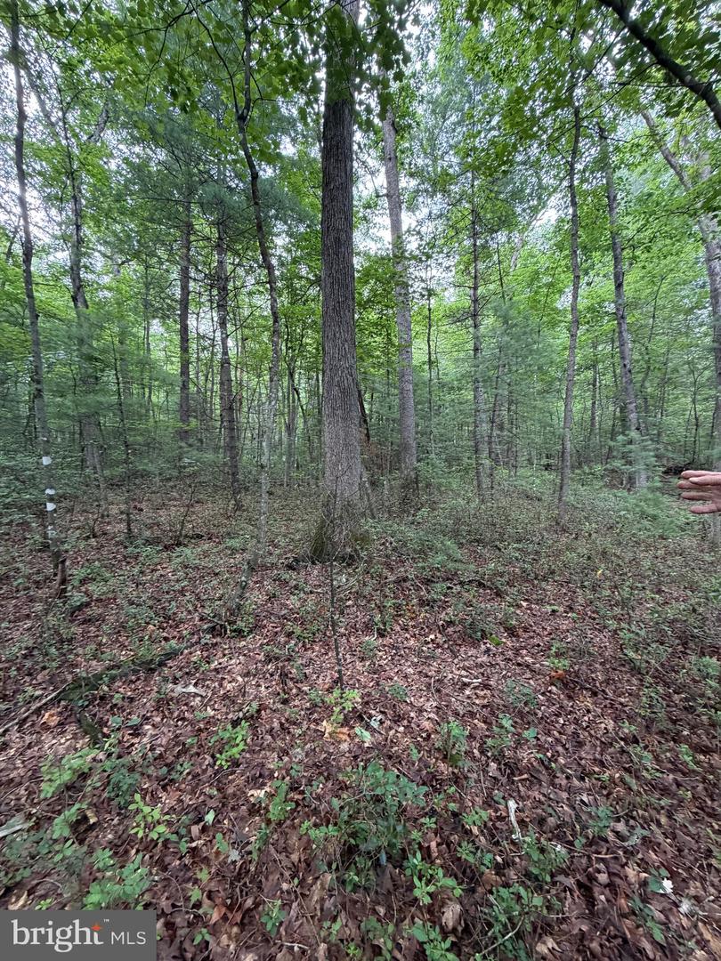 Lot 8 2ac Grizzly Rd Property Photo 18