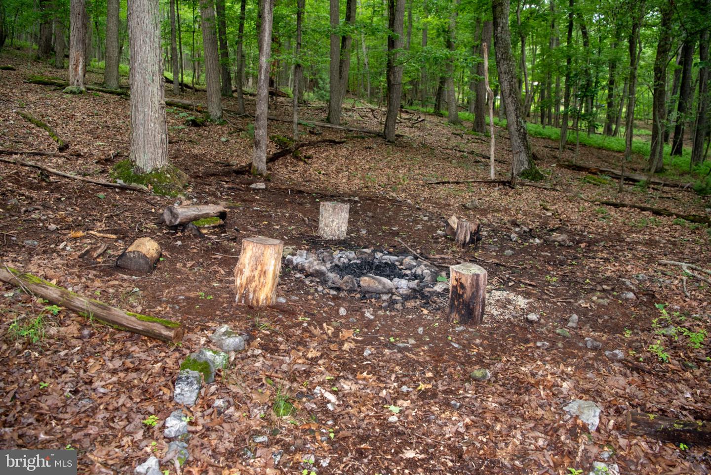 452 Wild Turkey Rdg Property Photo 29
