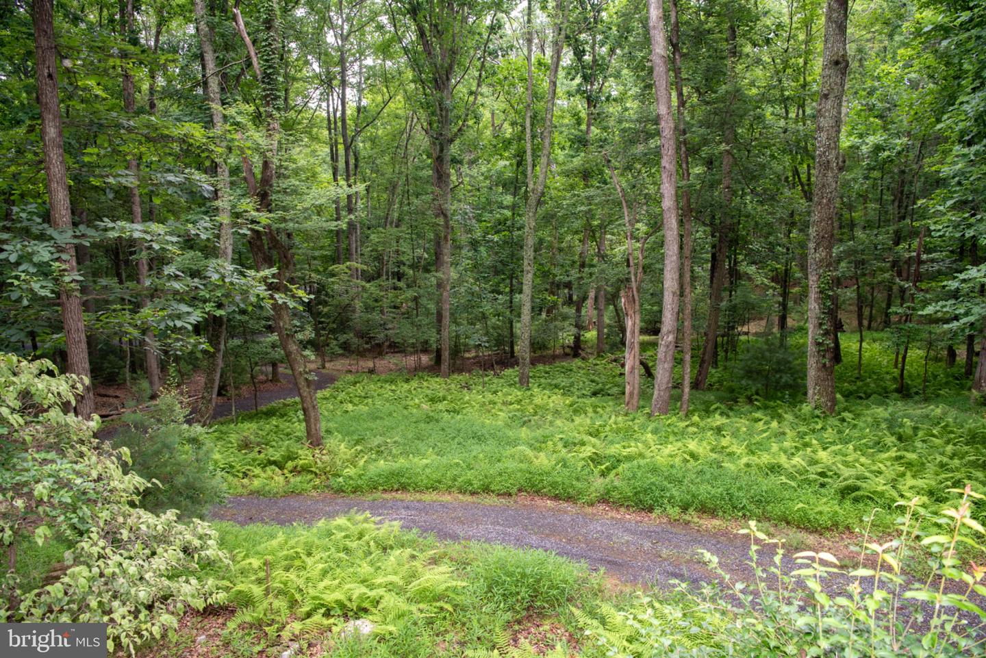 452 Wild Turkey Rdg Property Photo 38