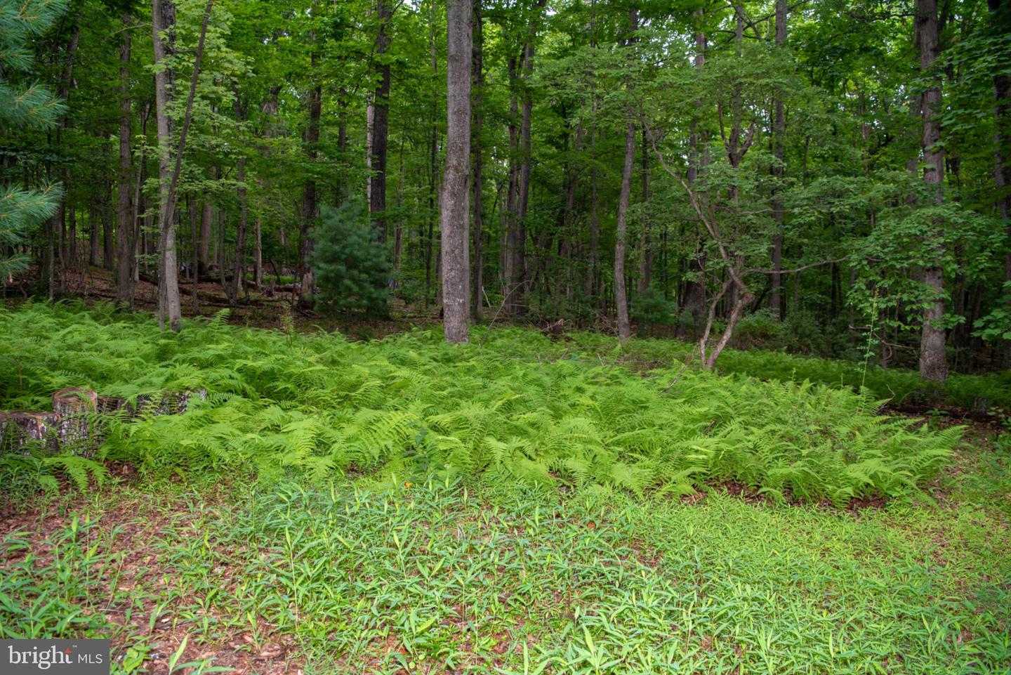 452 Wild Turkey Rdg Property Photo 42
