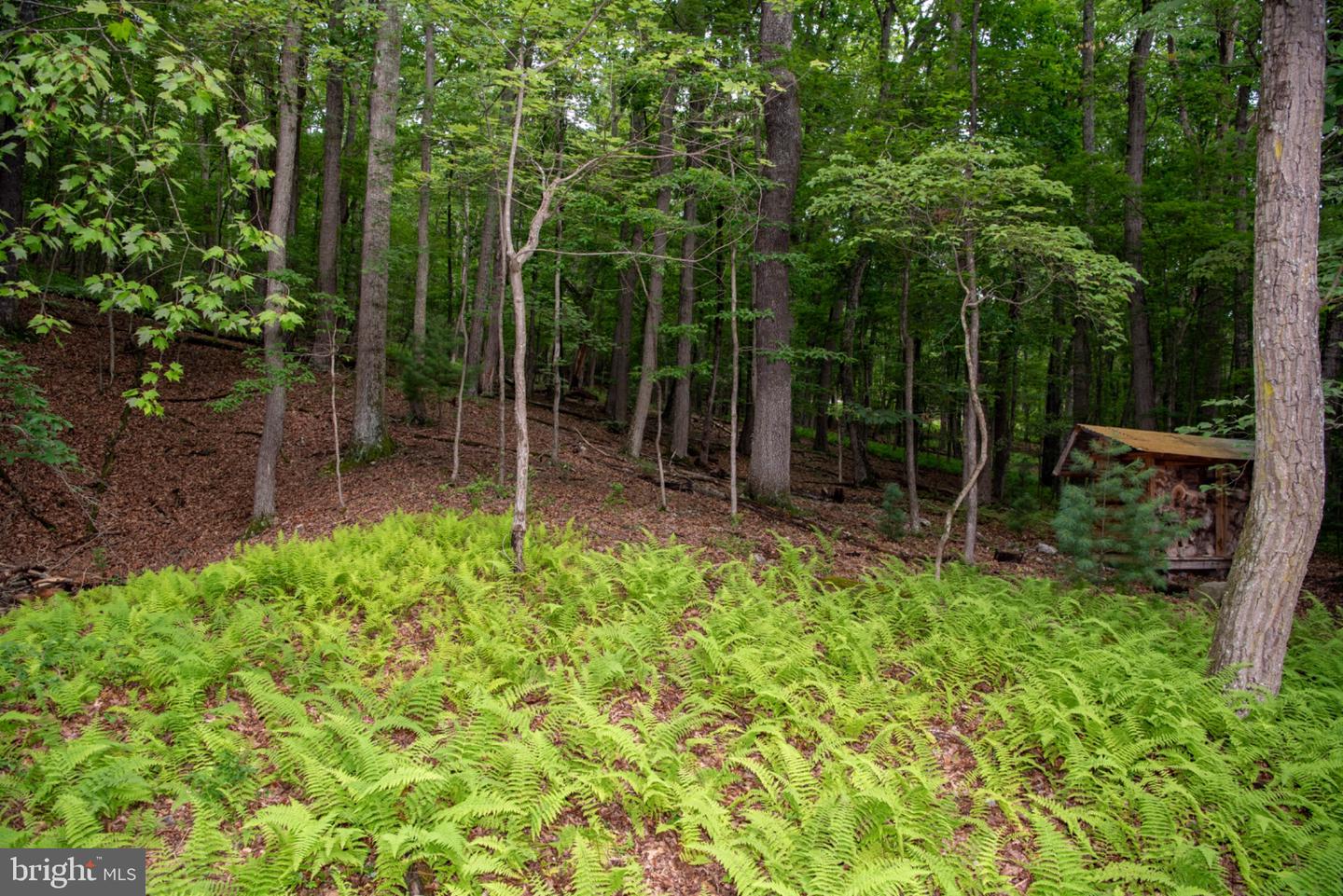 452 Wild Turkey Rdg Property Photo 43