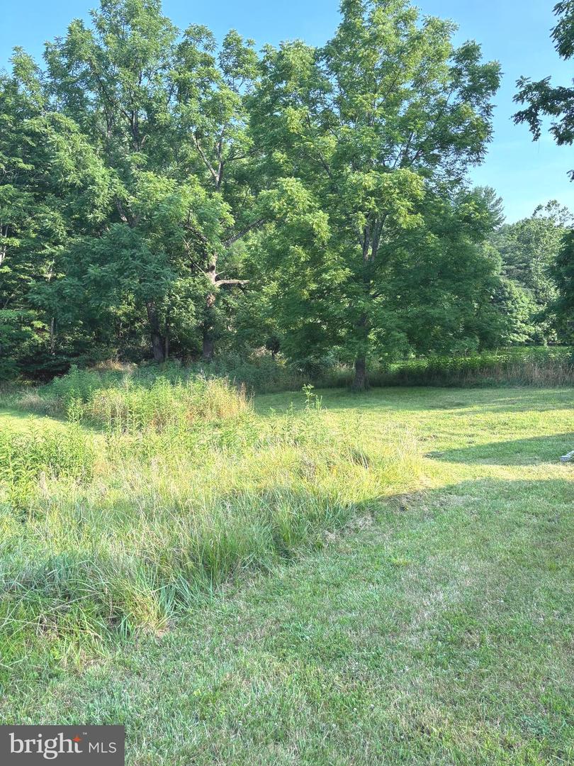 2600 Middle Cove Rd Property Photo 23