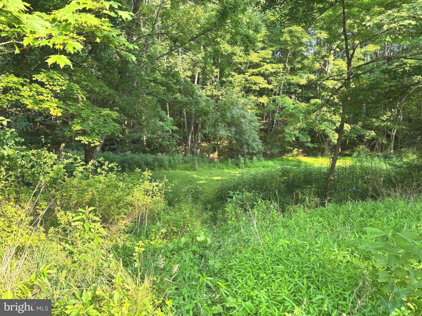 2600 Middle Cove Rd Property Photo 27