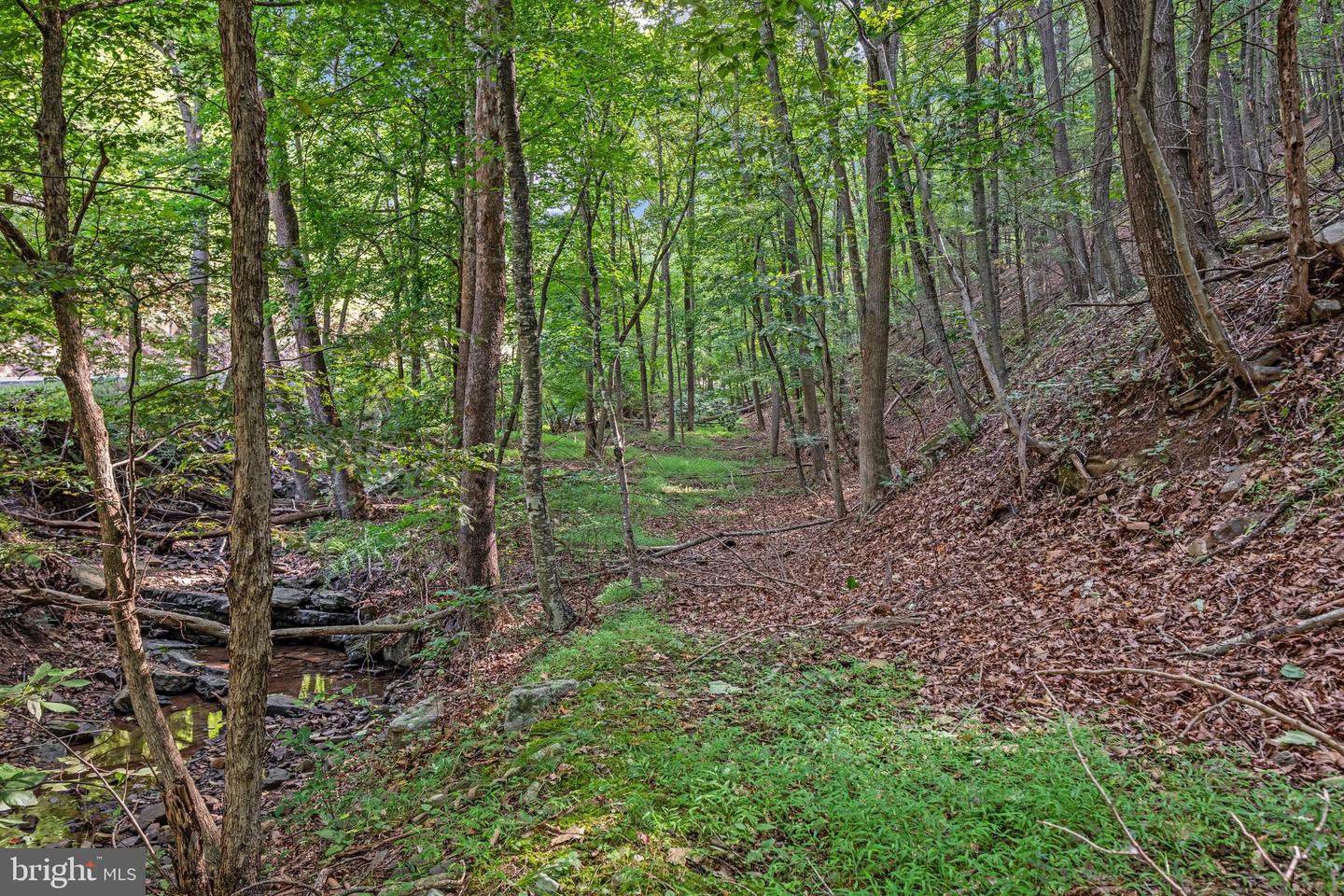 6980 State Road 55 Property Photo 43