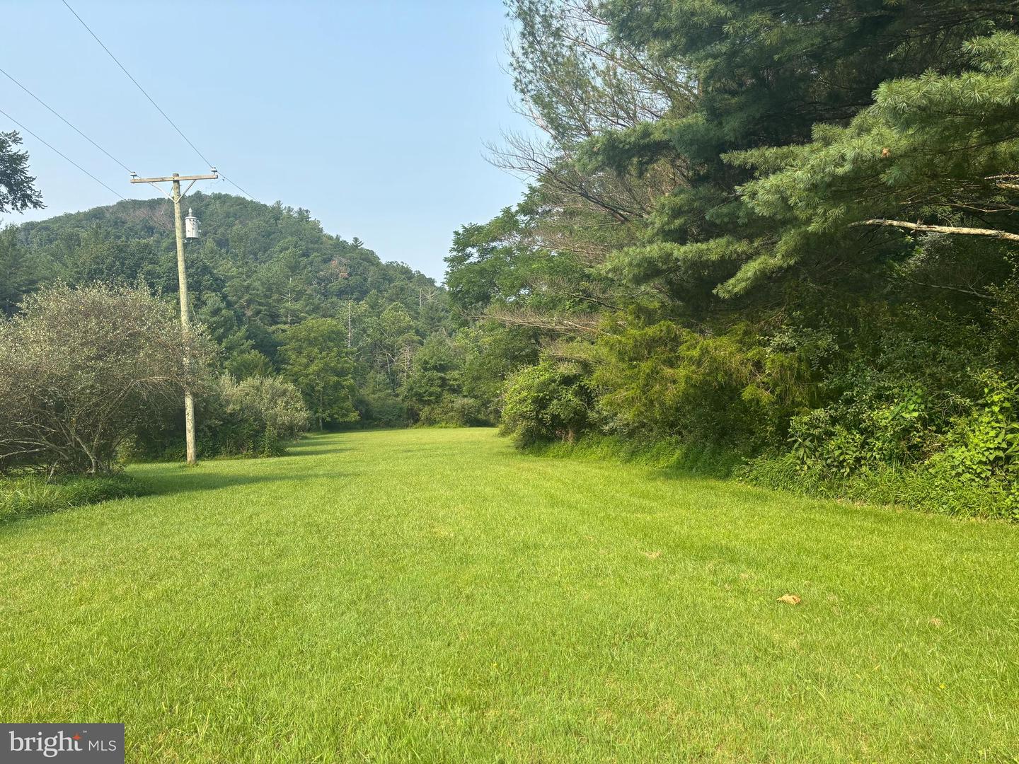 937 Wildlife Dr Property Photo 3