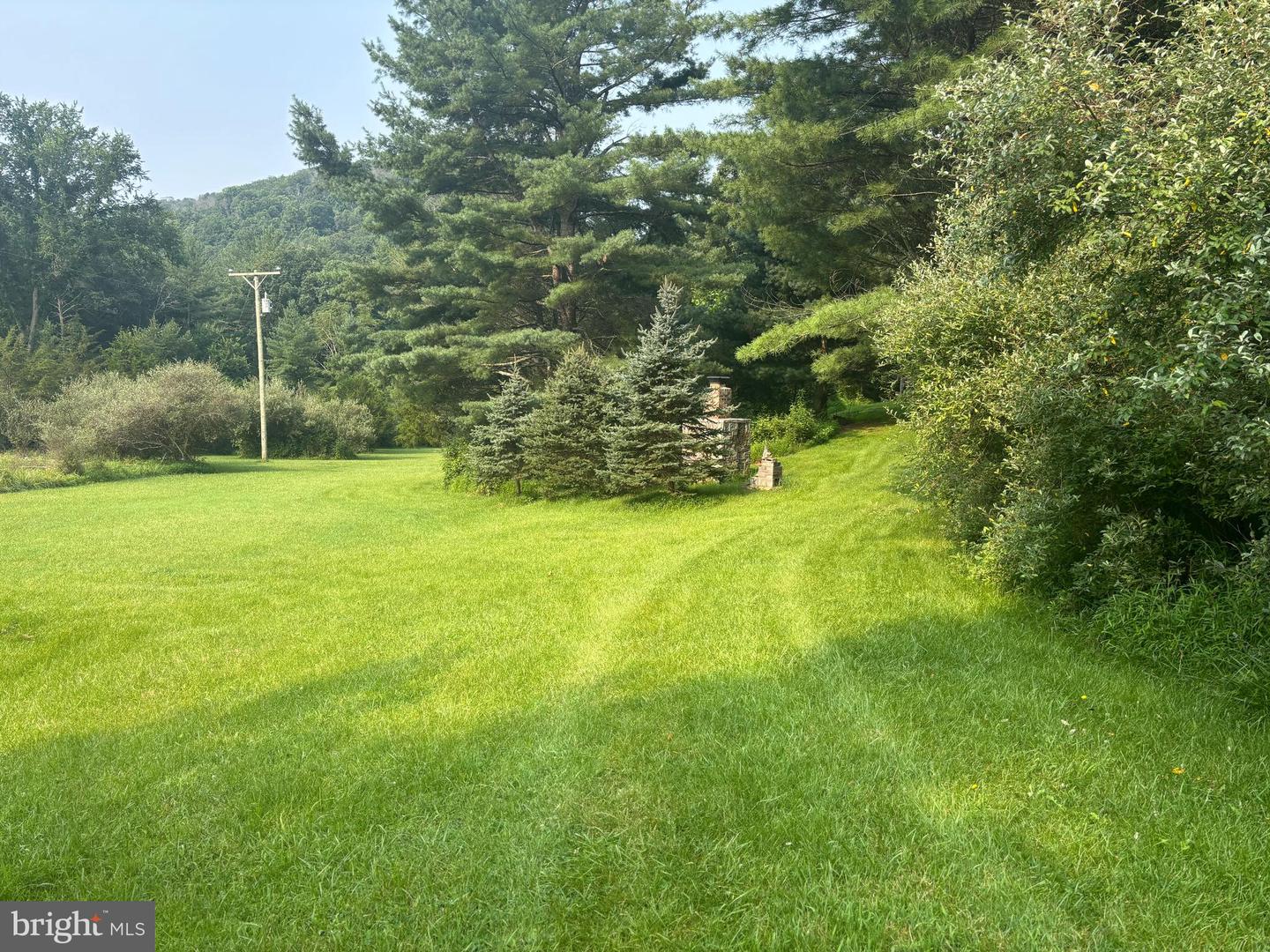 937 Wildlife Dr Property Photo 5